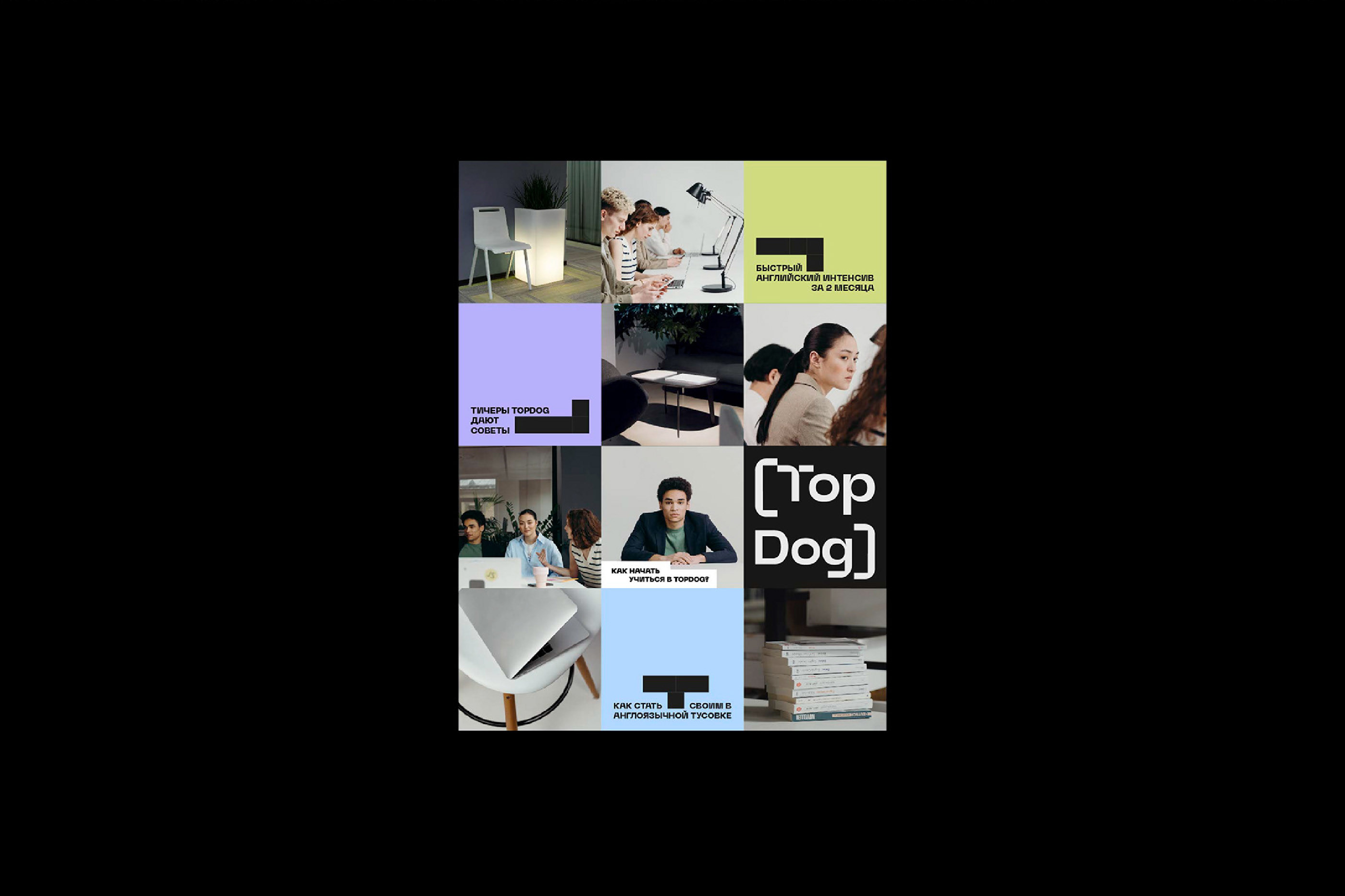 TopDog — Изображение №8 — Брендинг, Анимация на Dprofile