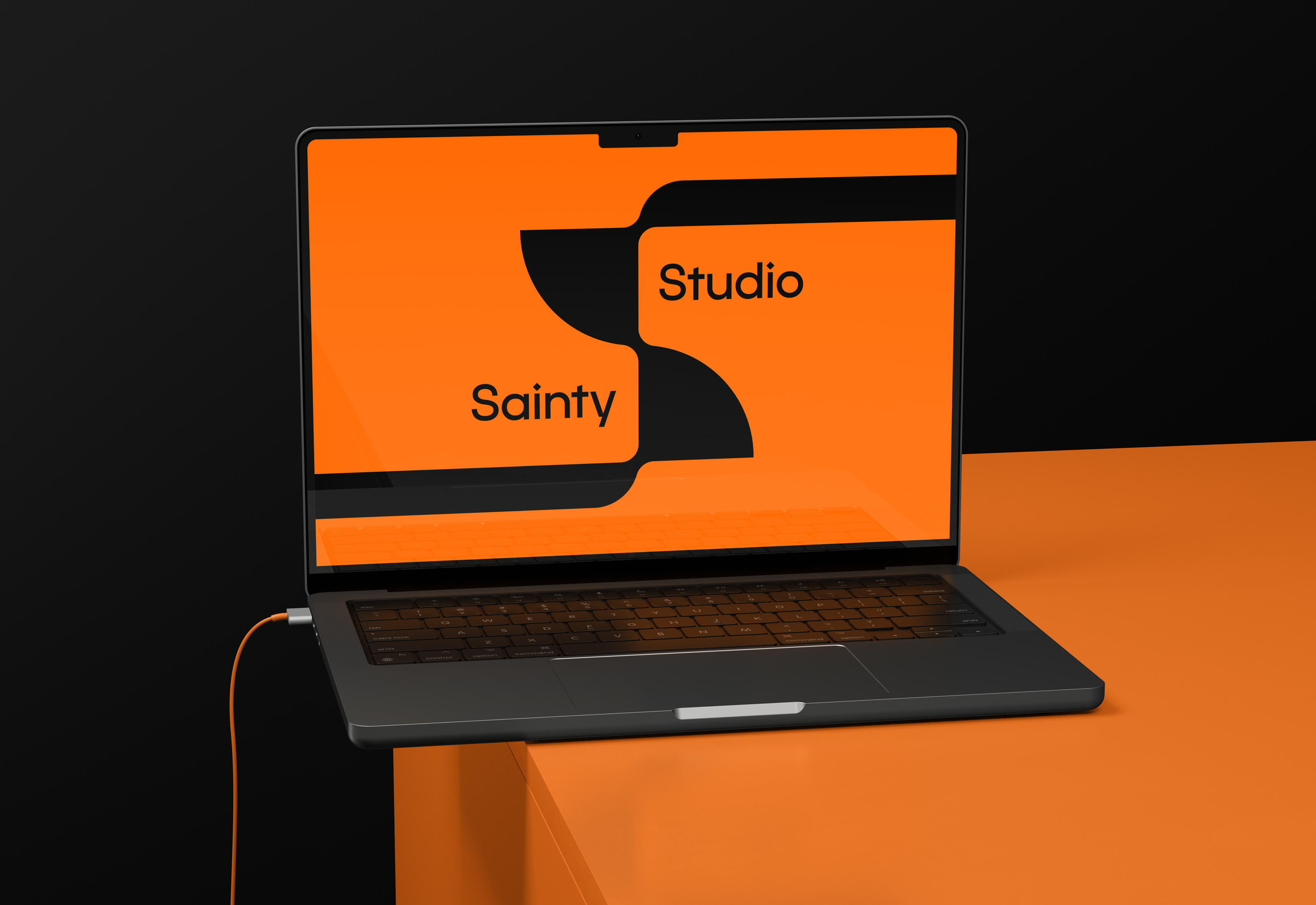 SaintyStudio — Изображение №6 — Брендинг, Графика на Dprofile