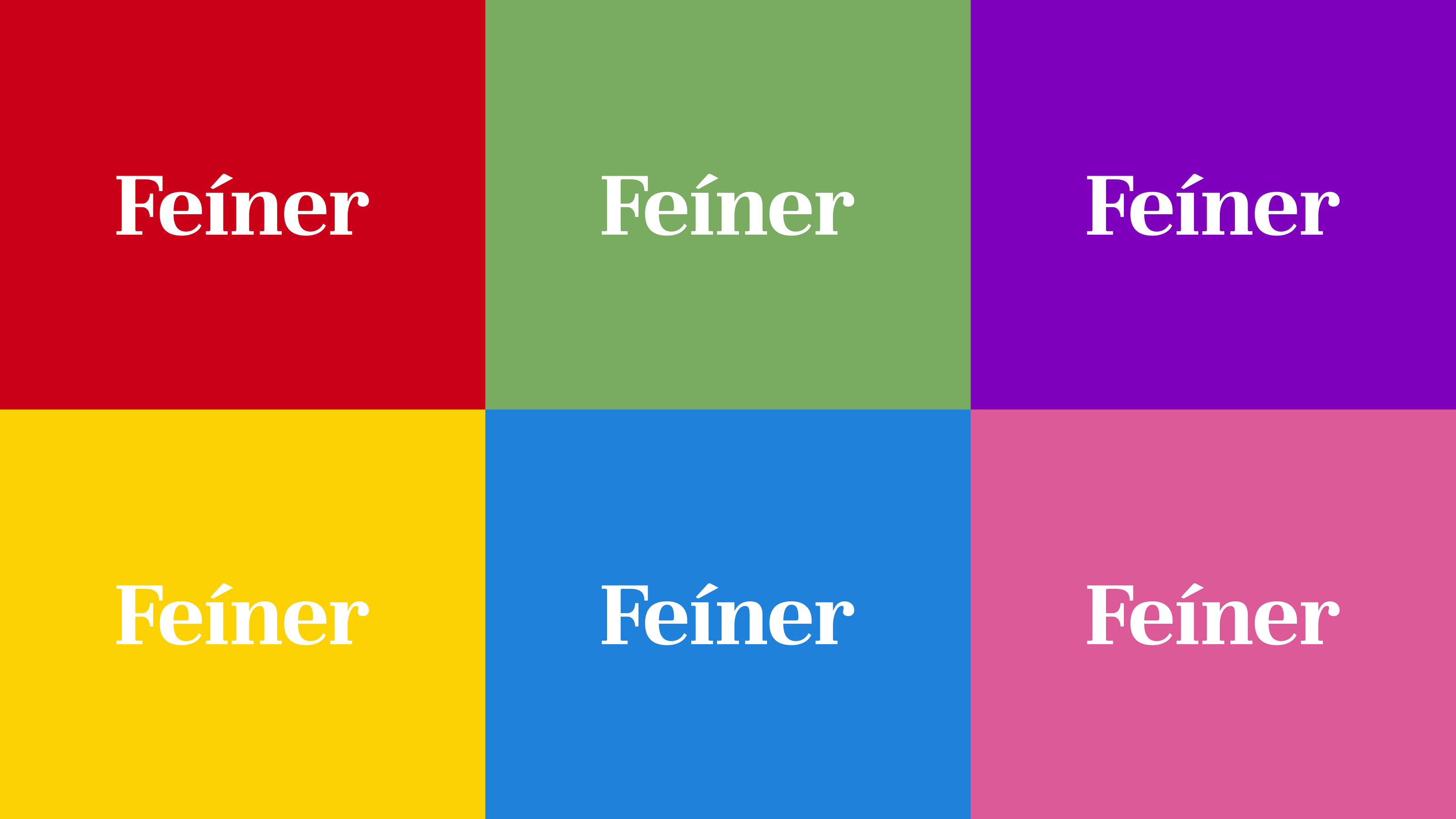Feiner — Изображение №4 — Брендинг, Графика на Dprofile