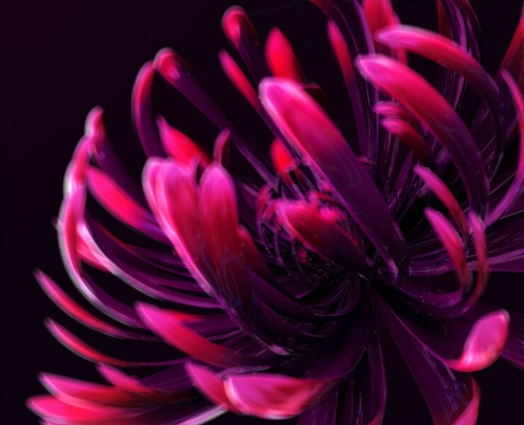 Красный цветок — Иллюстрация, 3D на Dprofile
