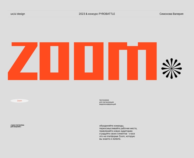 zoom — Интерфейсы на Dprofile
