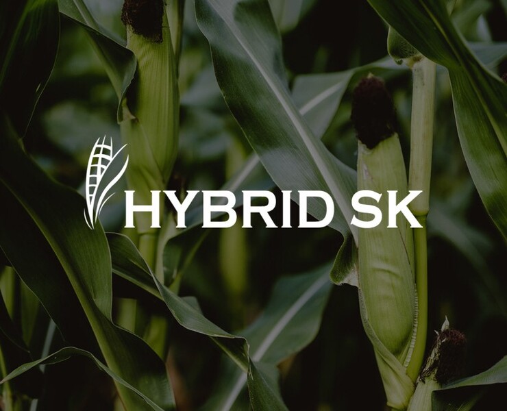 Корпоративный сайт для HYBRID SK — Интерфейсы, Анимация на Dprofile