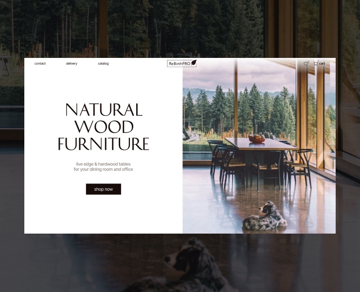 Интернет-магазин мебели из натурального дерева — Интерфейсы на Dprofile