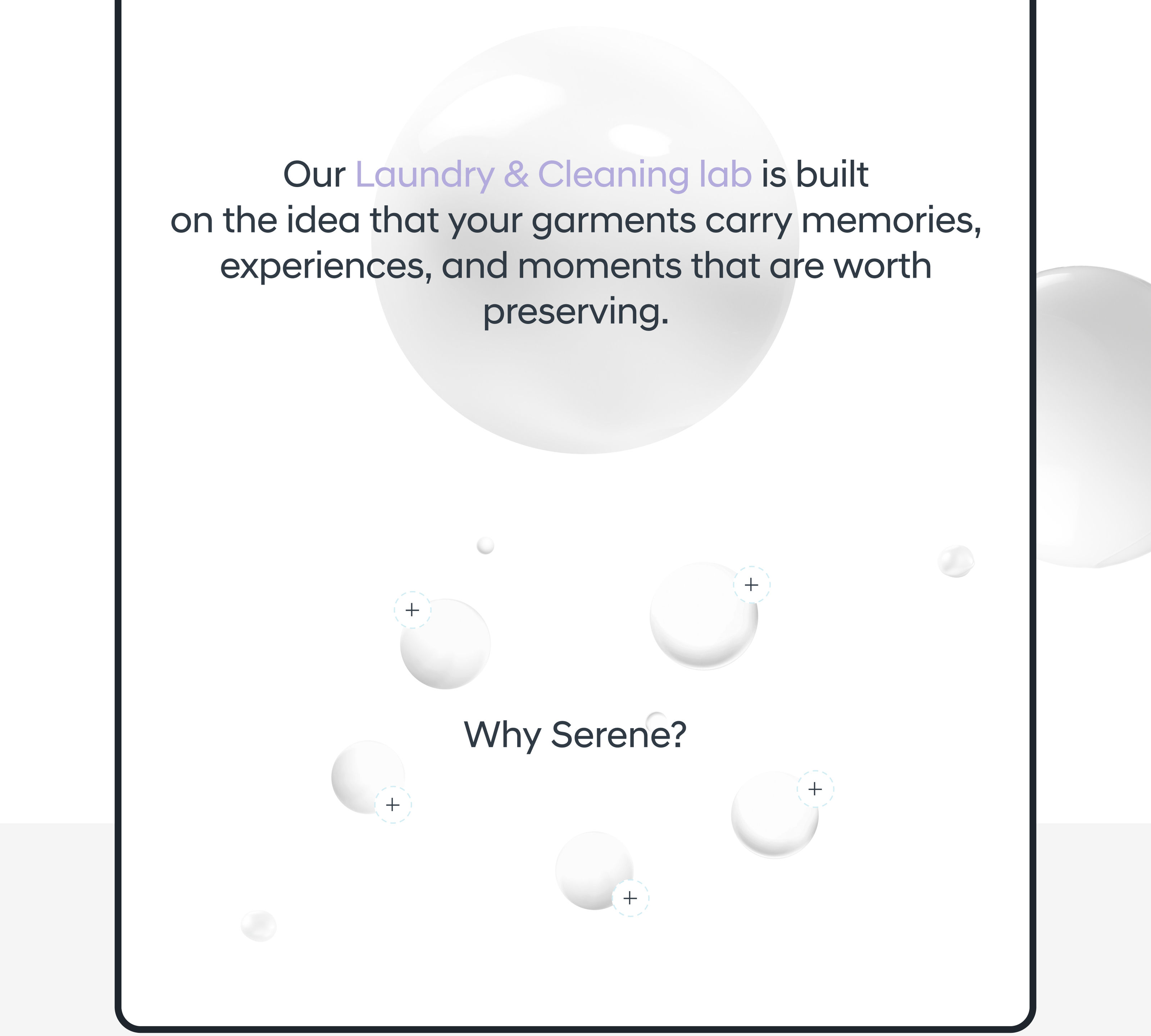 UI/UX Design | Serene | Dry cleaning — Изображение №5 — Интерфейсы на Dprofile