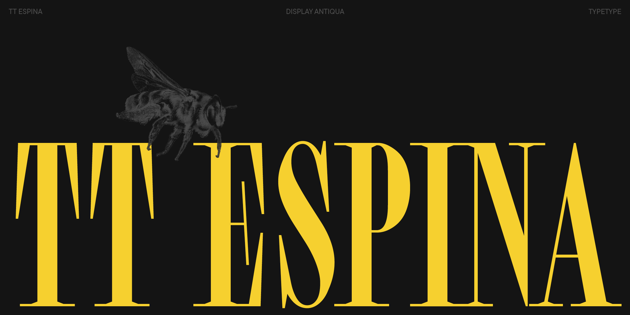 TT Espina 2024 UPD — Изображение №1 — Графика на Dprofile