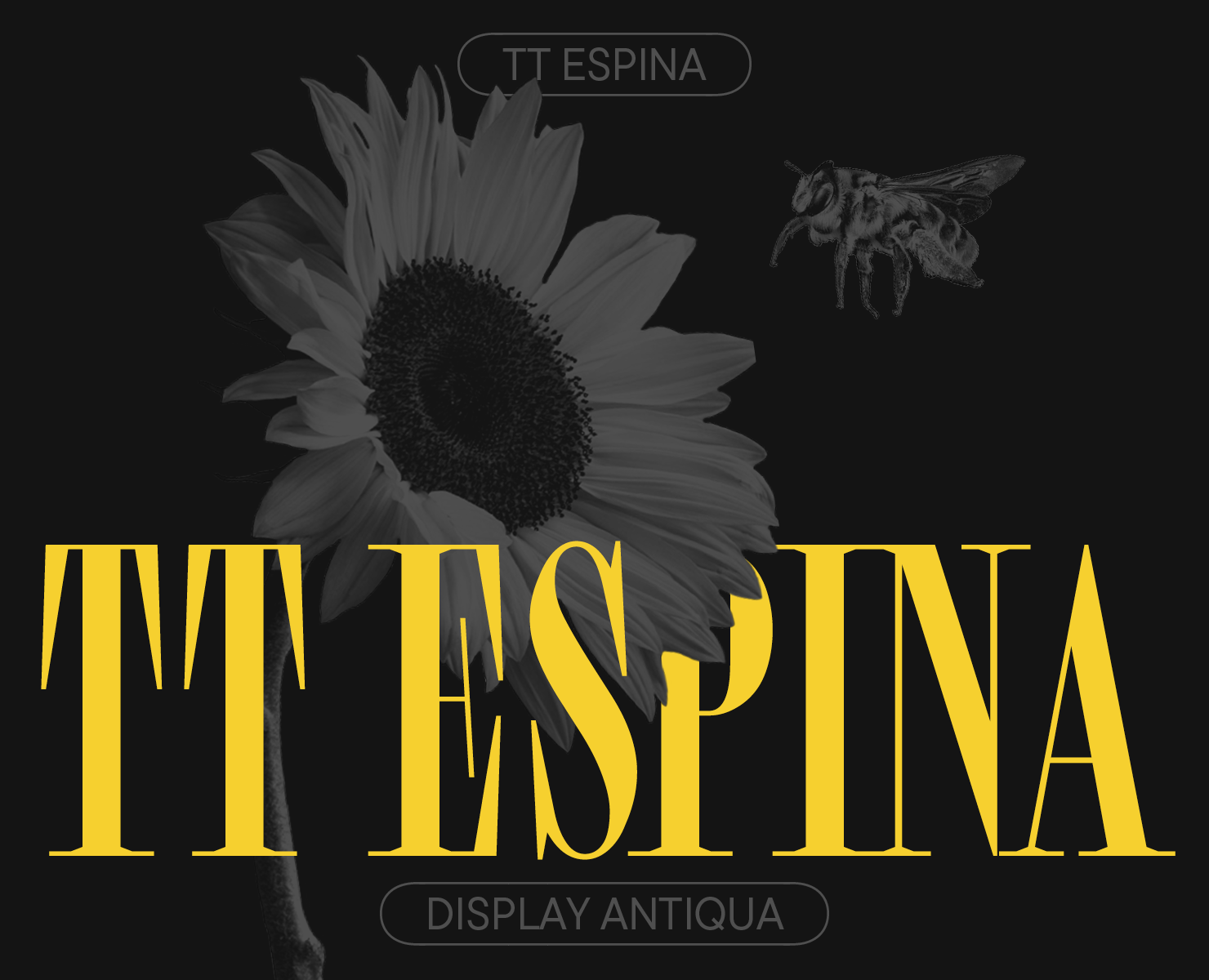 TT Espina 2024 UPD на Dprofile