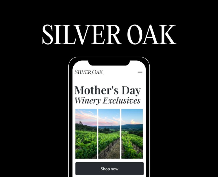Silver Oak | Corporate website redesign на Dprofile
