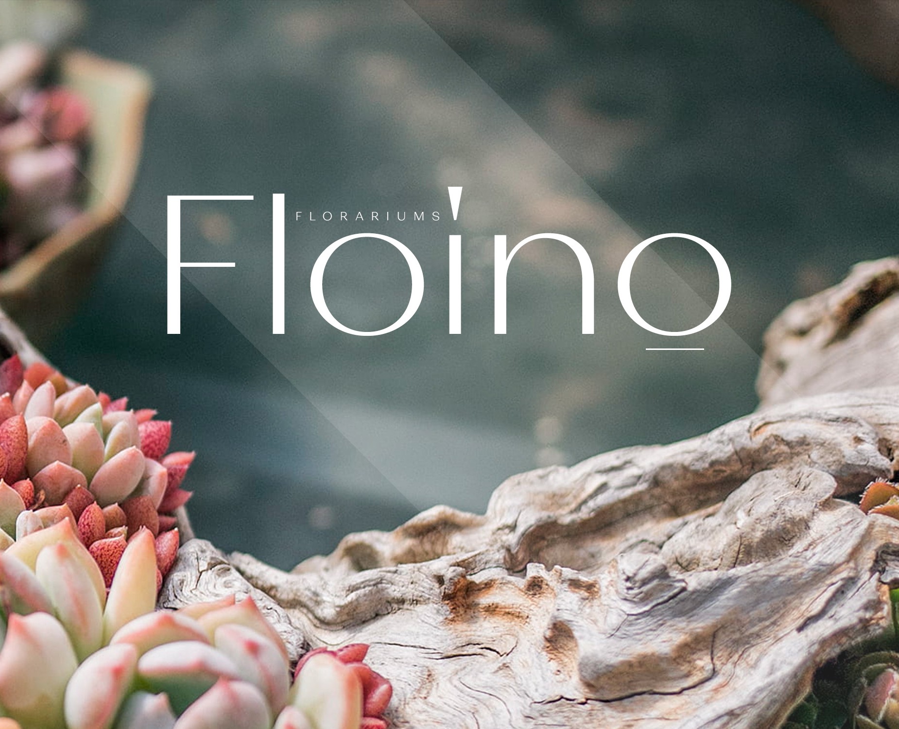 Landing page - Floino Florarium — Интерфейсы, Маркетинг на Dprofile