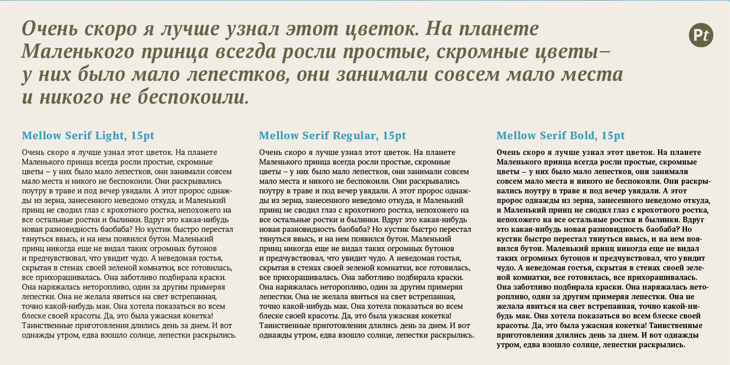 Mellow Serif — Изображение №14 — Графика на Dprofile