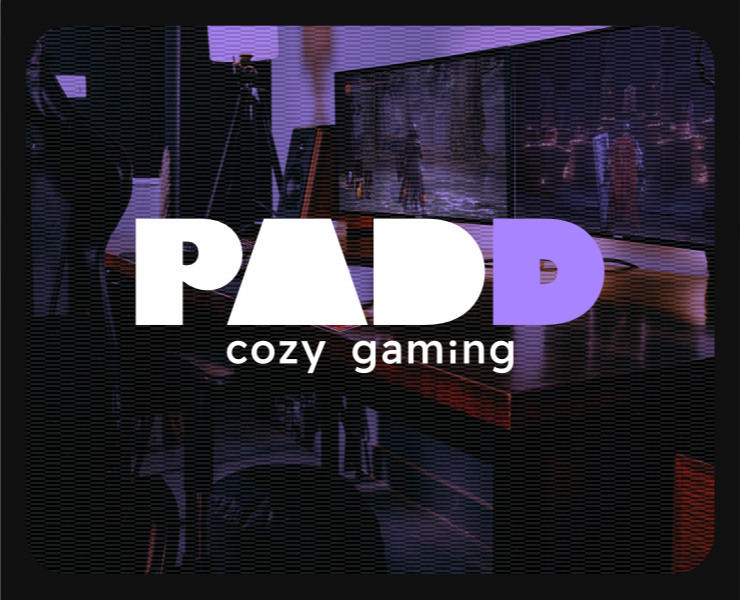 PADD Cozy Gaming Service — Брендинг, Анимация на Dprofile