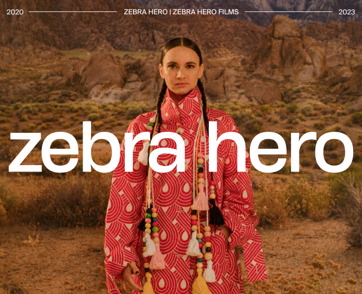 Zebra Hero — Интерфейсы, Брендинг на Dprofile