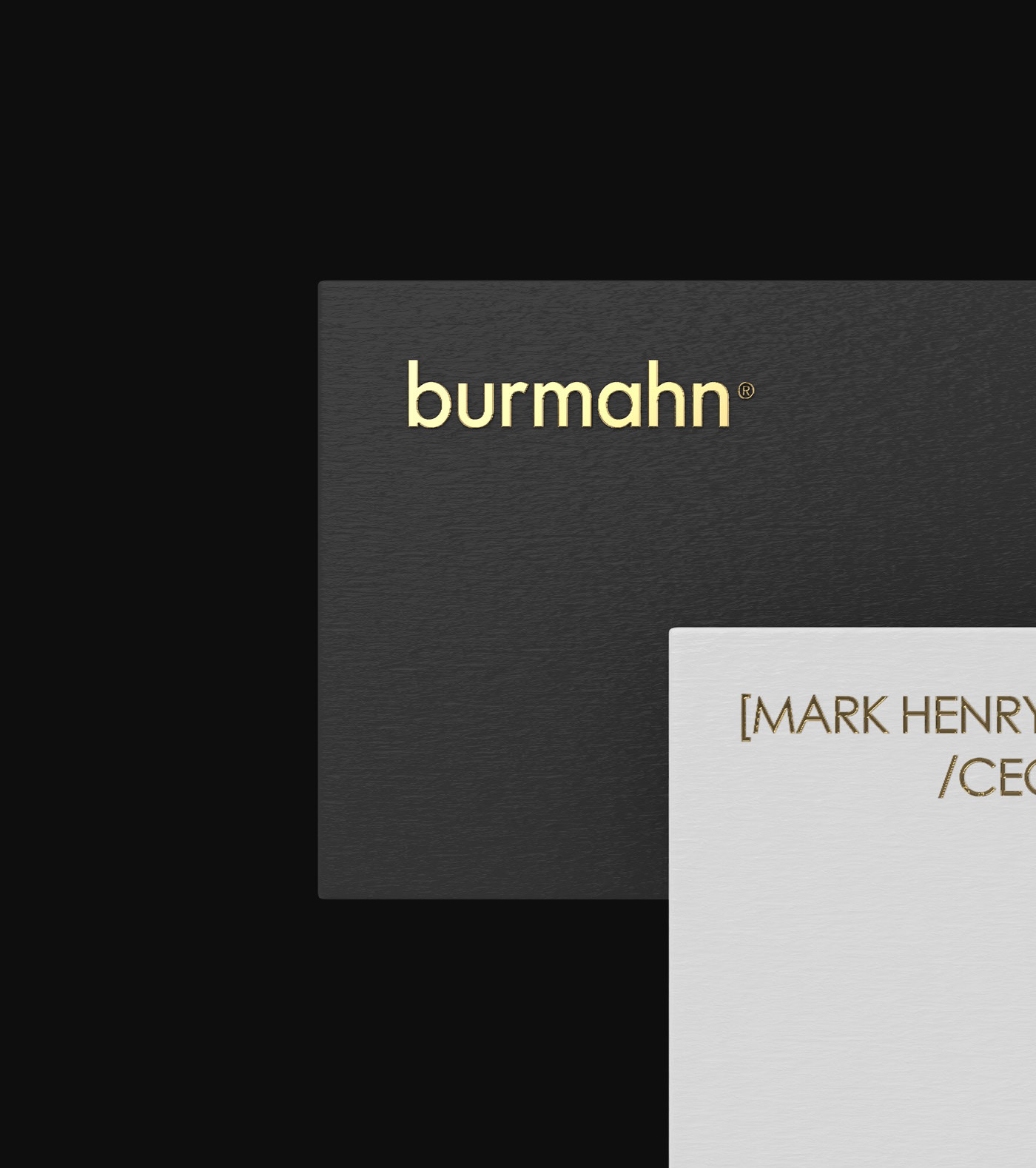 BURMAHN — Изображение №8 — Интерфейсы, Брендинг, 3D на Dprofile